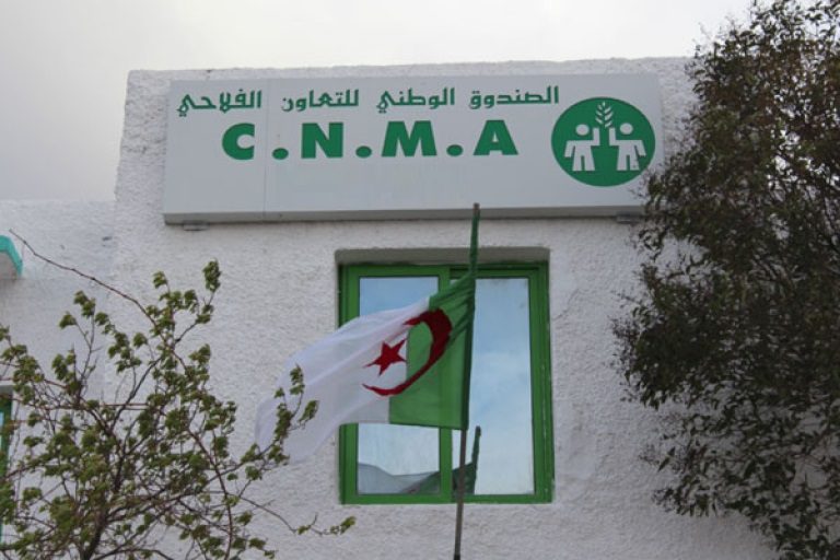 اعلان توظيف بالصندوق الجهوي للتعاون الفلاحي CRMA