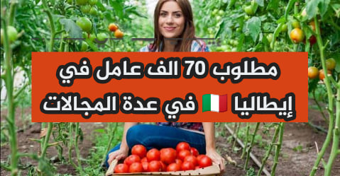 ايطاليا تفتح عقود العمل للبلدان العربية ب 70 الف منصب عمل لسنة 2022