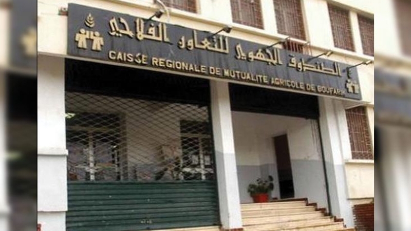 عرض عمل بالصندوق الجهوي للتعاون الفلاحي CRMA عين وسارة الجلفة