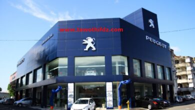 عرض عمل بمؤسسة بيجو للسيارات بأم البواقي