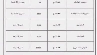 توضيح وطريقة عمل المكلفين بعملية الاحصاء العام للسكن والاسكان