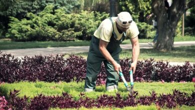 شركة AGROALEMENTAIRE توظف 39 بستاني