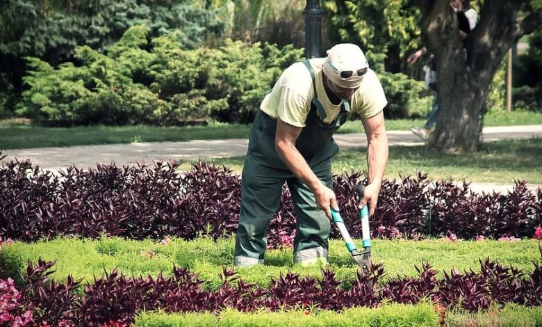 شركة AGROALEMENTAIRE توظف 39 بستاني