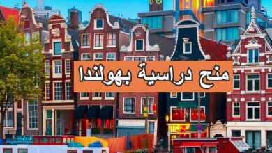 هولندا تعلن عن فتح برنامج المنح الدراسية MSP للجزائريين