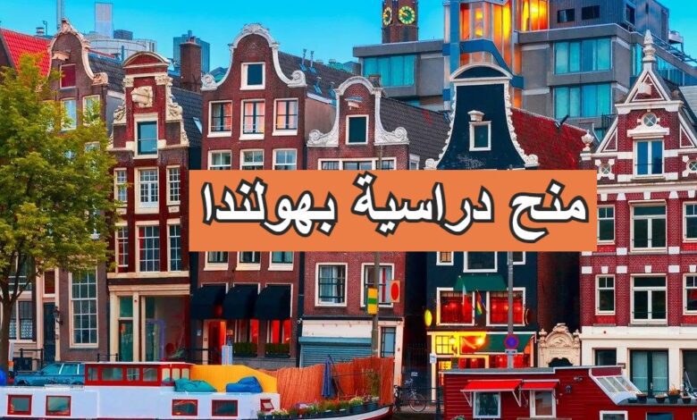 هولندا تعلن عن فتح برنامج المنح الدراسية MSP للجزائريين