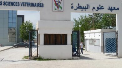 اعلان توظيف بالمعهد الوطني للبيطرة بالحراش ولاية الجزائر