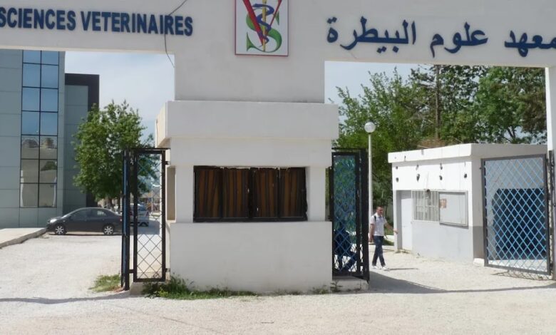 اعلان توظيف بالمعهد الوطني للبيطرة بالحراش ولاية الجزائر