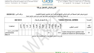 عرض عمل بطاسيلي للعمل الجوي TASSILI