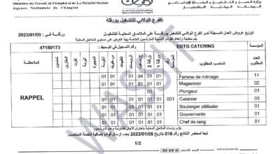 عرض عمل بشركة EGTG CATRING في مختلف الاختصاصات كلا الجنسين