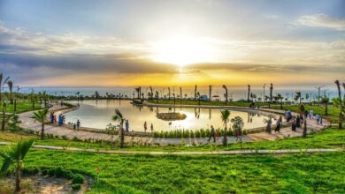 عرض عمل بحظيرة الحيوانات موستلاند مستغانم