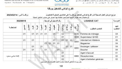 عرض عمل بشركة LIGABUE CAT في عدة تخصصات 94 منصب