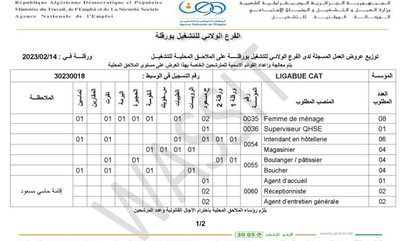 عرض عمل بشركة LIGABUE CAT في عدة تخصصات 94 منصب