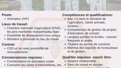 اعلان توظيف بالجمعية الوطنية للنحالين المهنيين