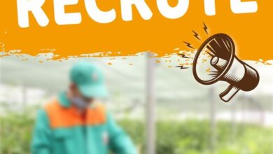 شركة شتلات توظف عمال عاملات بالدوام الكامل