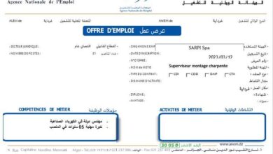 عرض عمل بشركة صاربي SARPI SPA غرداية