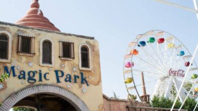 عرض عمل بسارل ماجيك بارك لاند عنابة