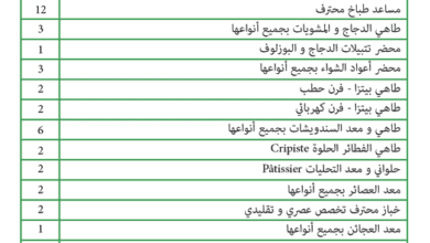 عشرات المناصب بشركة النخيل الكاليتوس في عدة تخصصات