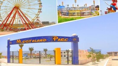 عرض عمل بحظيرة الحيوانات والتسلية موستالاند مستغانم 50 منصب