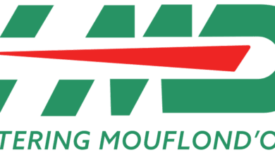 عرض عمل بشركة Sarl mouflon d o catering حاسي مسعود 22 منصب