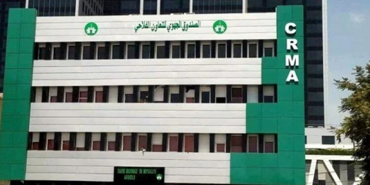 عرض عمل بالصندوق الجهوي للتعاون الفلاحي CRMA عين وسارة الجلفة
