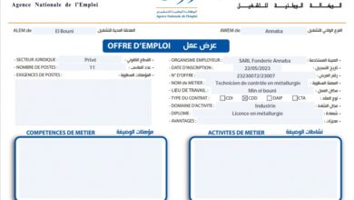 عرض عمل بشركة sarl fonderie annaba عنابة 11 منصب