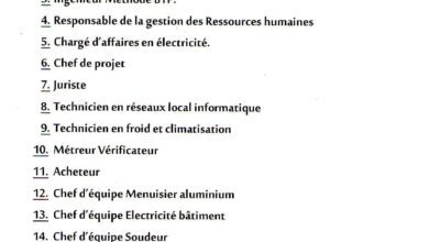 طلب قوائم ضافية بمؤسسة الأجنبية أمين شين تيسمسيلت