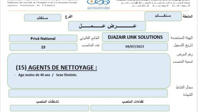 عرض عمل بمؤسسة DJAZAIR LINK SOLUTIONS مستغانم 15 منصب