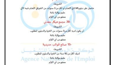 عرض عمل مجمع تيرصام باتنة (160 منصب)