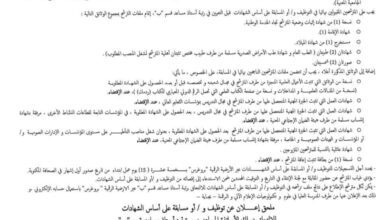 اعلان توظيف بالمدرسة العليا في علوم وتكنولوجيات الإعلام الآلي والرقمنة ببجاية