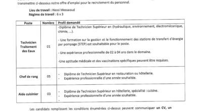 عرض عمل بشركة ريد ماد RED MED