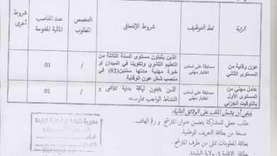 اعلان توظيف بجامعة سعد دحلب البليدة 1