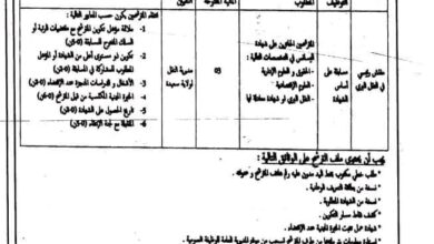 اعلان توظيف بمديرية النقل لولاية سعيدة