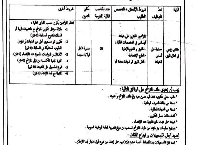 اعلان توظيف بمديرية النقل لولاية سعيدة