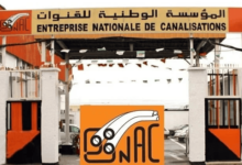 المؤسسة الوطنية للقنوات تعلن عن فتح مناصب توظيف جديدة