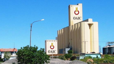 عرض عمل بالديوان الجزائري المهني للحبوب الجلفة