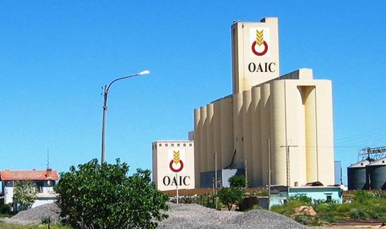 عرض عمل بالديوان الجزائري المهني للحبوب الجلفة