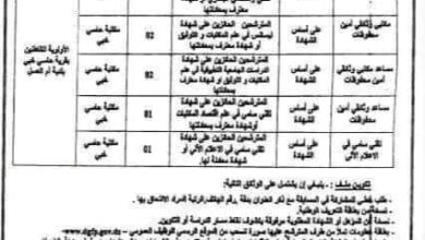 اعلان توظيف بالمكتبة الرئيسية للمطالعة العمومية لولاية تندوف