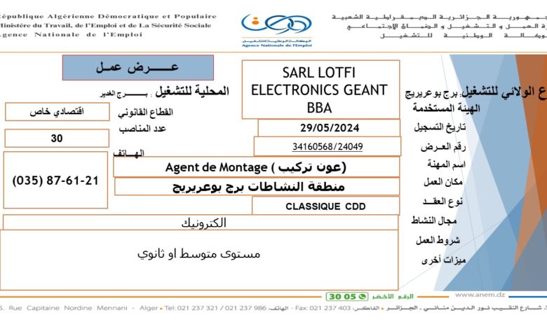 عرض عمل SARL LOTFIELECTRONICS GEANT (30 عون تركيب)