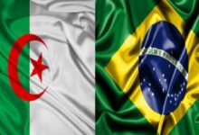 فرصة عمل سفارة البرازيل في الجزائر