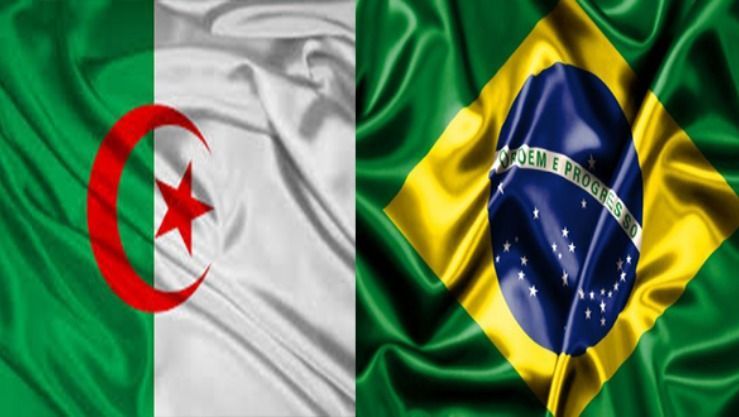 فرصة عمل سفارة البرازيل في الجزائر