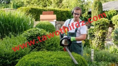 شركات خاصة تبحث عن 37 بستاني