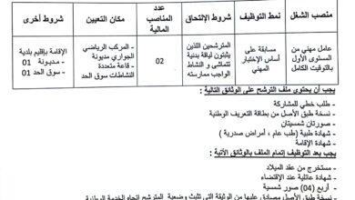 اعلان توظيف بديوان مؤسسات الشباب لولاية غليزان