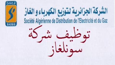 عرض عمل بالشركة الجزائرية للكهرباء والغاز الطاقات المتجددة