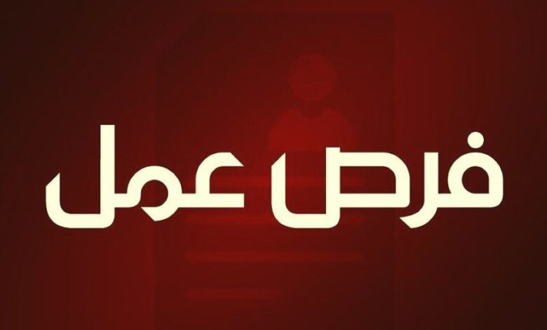 عروض عمل في شركة SERFI بحاسي مسعود 85 منصب