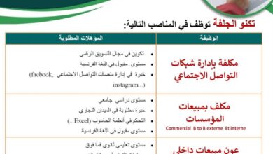 مناصب عمل في تكنو الجلفة