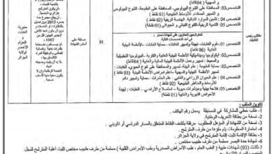 اعلان مسابقة توظيف بمديرية الغابات و الحزام الأخضر لولاية الجزائر