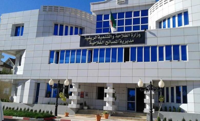مسابقة توظيف بمديرية المصالح الفلاحية لولاية سعيدة