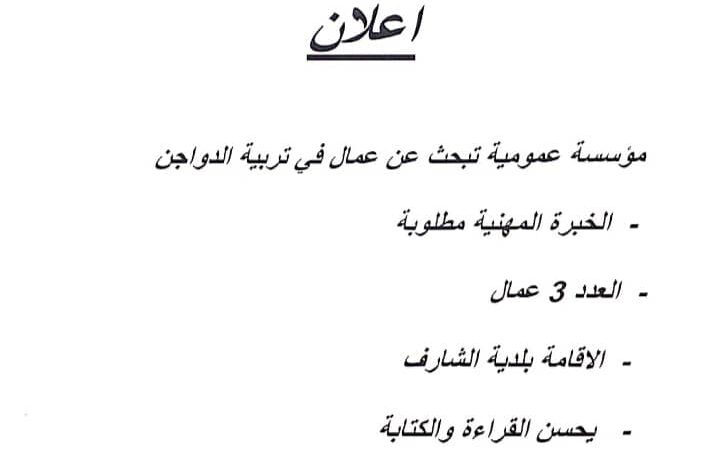 مؤسسة عمومية بالجلفة تبحث عن عمال في تربية الدواجن