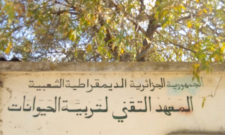 اعلان توظيف بالمعهد التقني لتربية الحيوانات