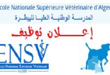 اعلان توظيف بالمدرسة الوطنية العليا للبيطرة الجزائر